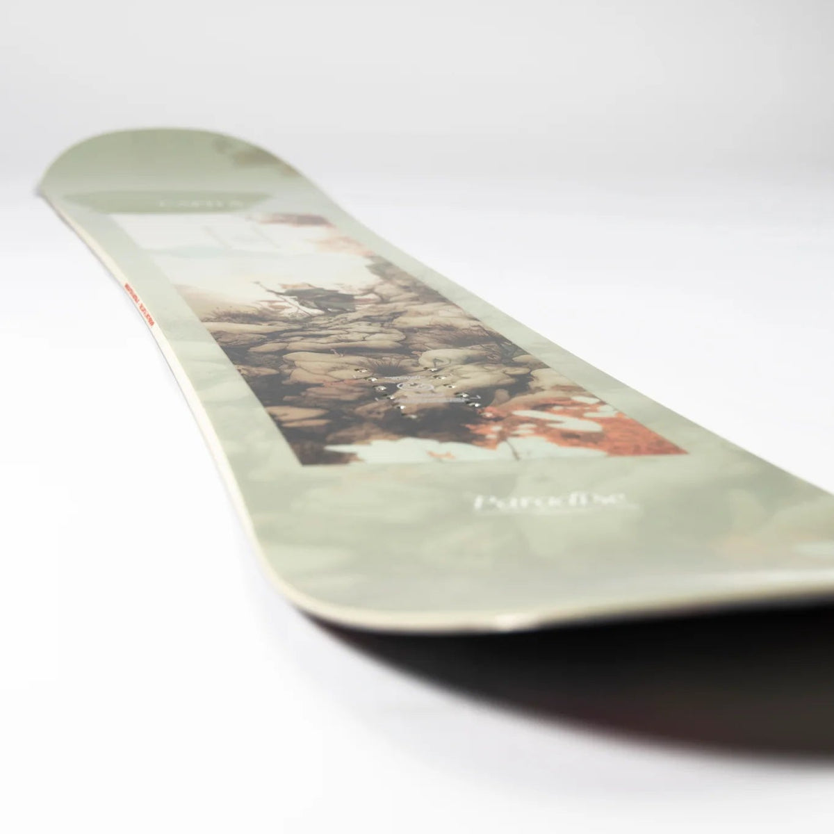 A close-up, angled view of a snowboard deck featuring a light sage green base with a central scenic art print of a forest and a small orange bird, on a clean white background.