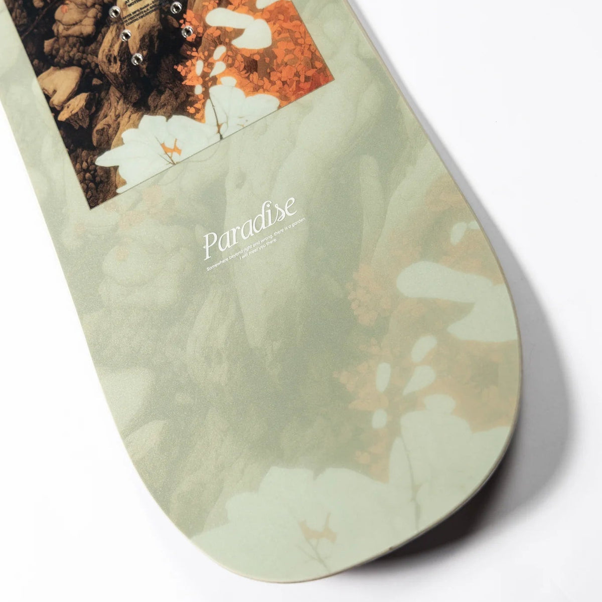 A close-up of a snowboard deck featuring a pale sage green and beige abstract leaf pattern, with a square graphic insert showing mushrooms and orange leaves, and the brand name 'Paradise' printed near the tail.
