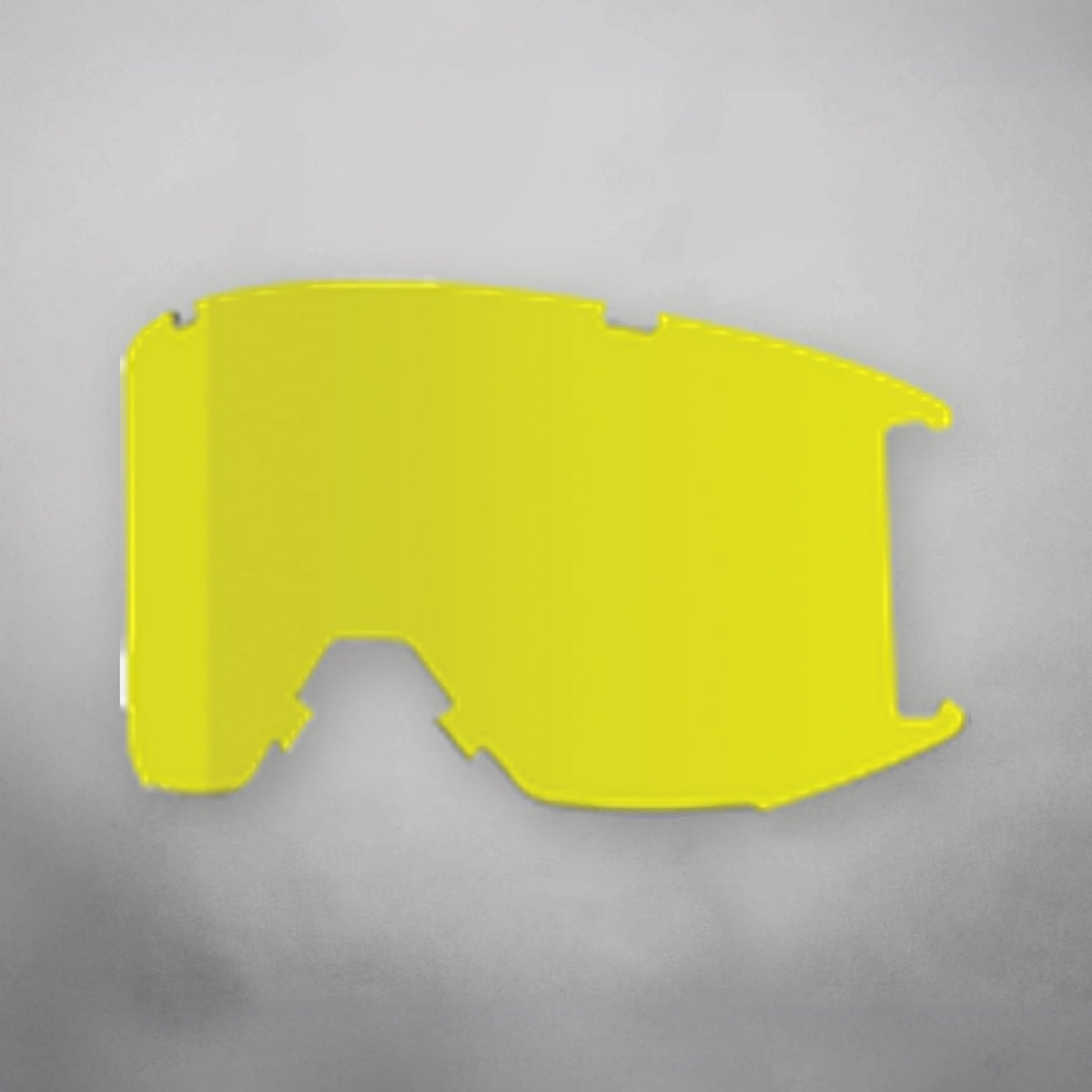 Smith Squad Snowboard Goggles